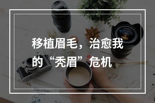 移植眉毛，治愈我的“秃眉”危机