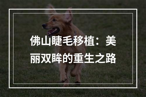 佛山睫毛移植：美丽双眸的重生之路