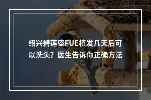 绍兴碧莲盛FUE植发几天后可以洗头？医生告诉你正确方法