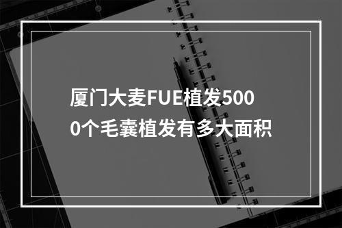 厦门大麦FUE植发5000个毛囊植发有多大面积