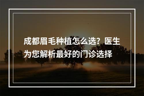 成都眉毛种植怎么选？医生为您解析最好的门诊选择