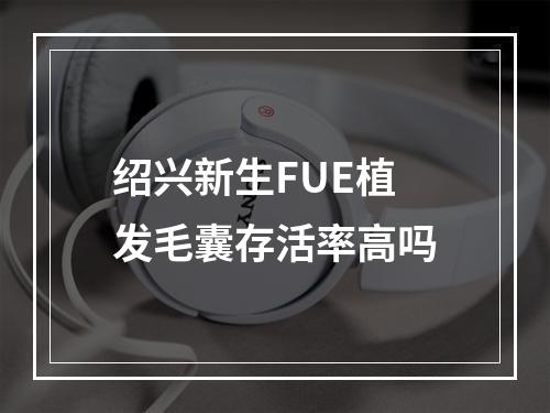 绍兴新生FUE植发毛囊存活率高吗