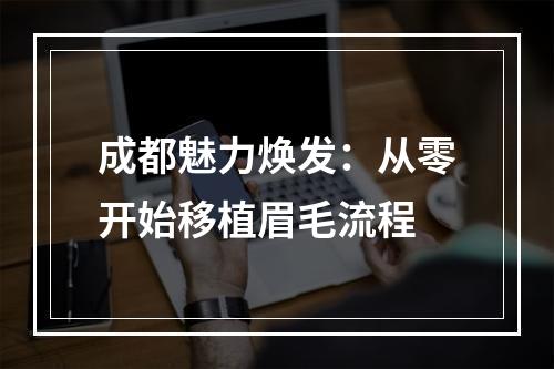 成都魅力焕发：从零开始移植眉毛流程