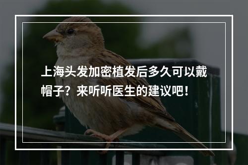 上海头发加密植发后多久可以戴帽子？来听听医生的建议吧！