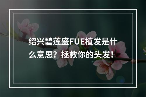 绍兴碧莲盛FUE植发是什么意思？拯救你的头发！