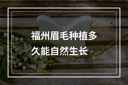 福州眉毛种植多久能自然生长