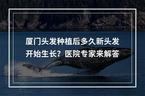 厦门头发种植后多久新头发开始生长？医院专家来解答