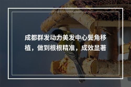 成都群发动力美发中心鬓角移植，做到根根精准，成效显著