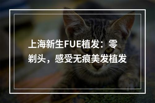 上海新生FUE植发：零剃头，感受无痕美发植发