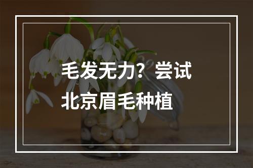 毛发无力？尝试北京眉毛种植