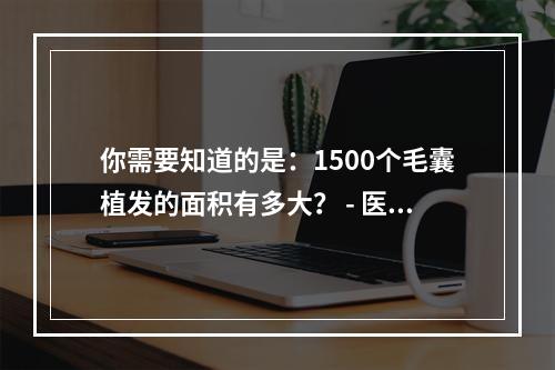 你需要知道的是：1500个毛囊植发的面积有多大？ - 医生的角度看待厦门雍禾微针植发