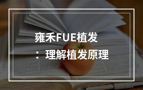 雍禾FUE植发：理解植发原理