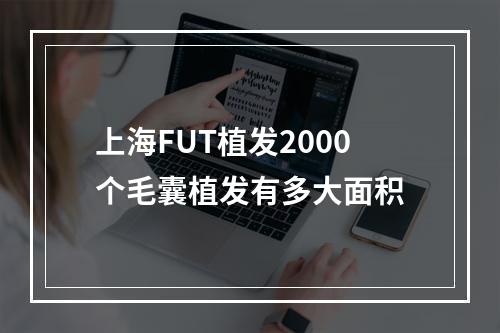 上海FUT植发2000个毛囊植发有多大面积