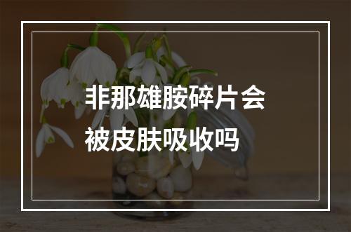 非那雄胺碎片会被皮肤吸收吗