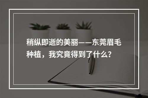 稍纵即逝的美丽——东莞眉毛种植，我究竟得到了什么？