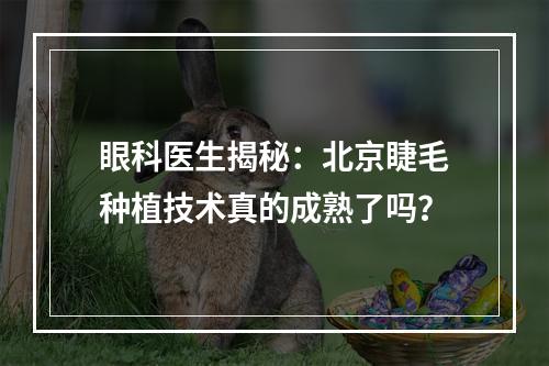 眼科医生揭秘：北京睫毛种植技术真的成熟了吗？