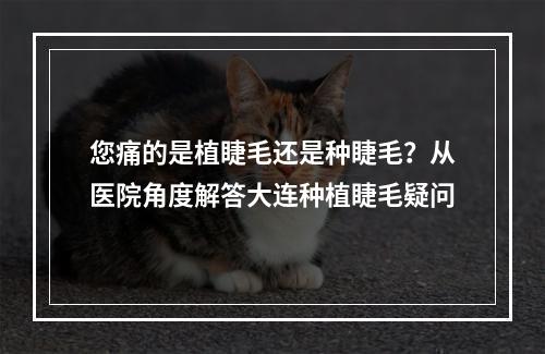 您痛的是植睫毛还是种睫毛？从医院角度解答大连种植睫毛疑问