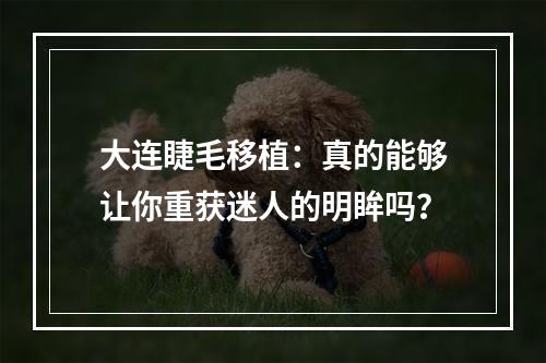 大连睫毛移植：真的能够让你重获迷人的明眸吗？