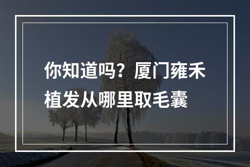 你知道吗？厦门雍禾植发从哪里取毛囊