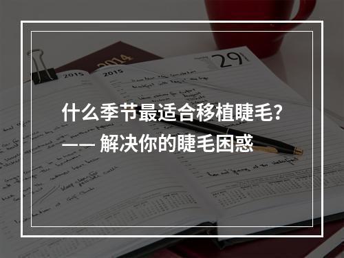 什么季节最适合移植睫毛？—— 解决你的睫毛困惑