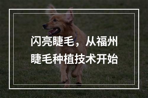 闪亮睫毛，从福州睫毛种植技术开始