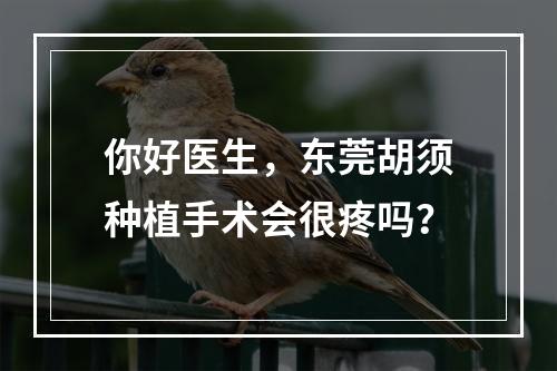 你好医生，东莞胡须种植手术会很疼吗？