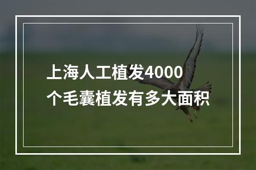 上海人工植发4000个毛囊植发有多大面积