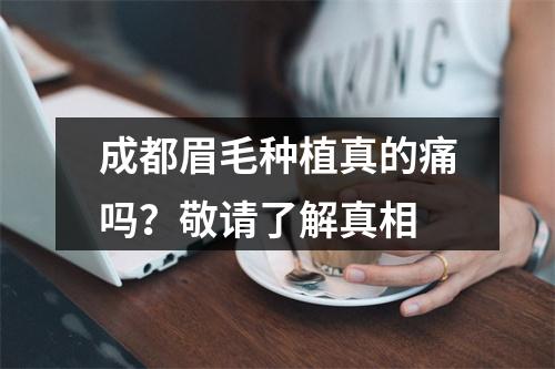 成都眉毛种植真的痛吗？敬请了解真相