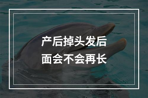 产后掉头发后面会不会再长