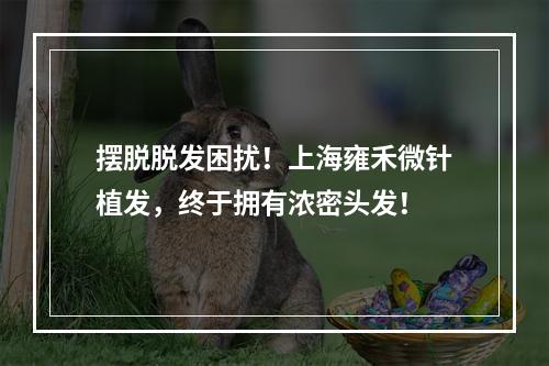 摆脱脱发困扰！上海雍禾微针植发，终于拥有浓密头发！