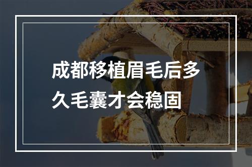 成都移植眉毛后多久毛囊才会稳固