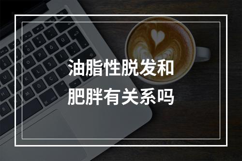 油脂性脱发和肥胖有关系吗