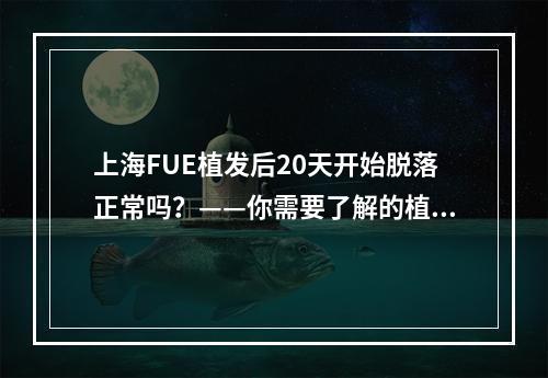 上海FUE植发后20天开始脱落正常吗？——你需要了解的植发常识