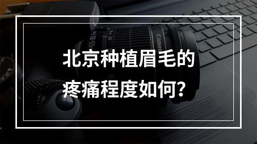 北京种植眉毛的疼痛程度如何？