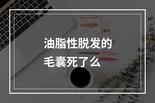 油脂性脱发的毛囊死了么