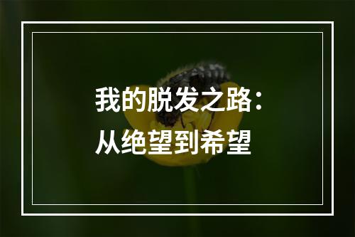 我的脱发之路：从绝望到希望