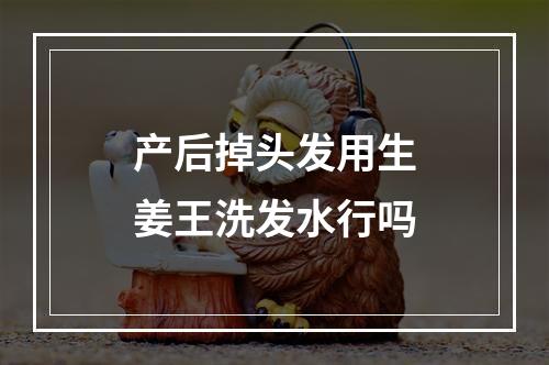 产后掉头发用生姜王洗发水行吗