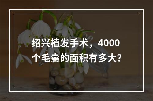 绍兴植发手术，4000个毛囊的面积有多大？