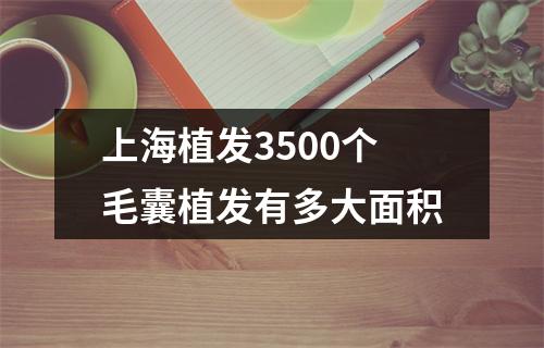 上海植发3500个毛囊植发有多大面积