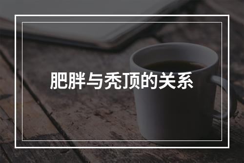 肥胖与秃顶的关系