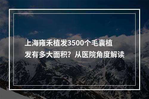 上海雍禾植发3500个毛囊植发有多大面积？从医院角度解读