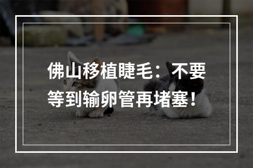 佛山移植睫毛：不要等到输卵管再堵塞！