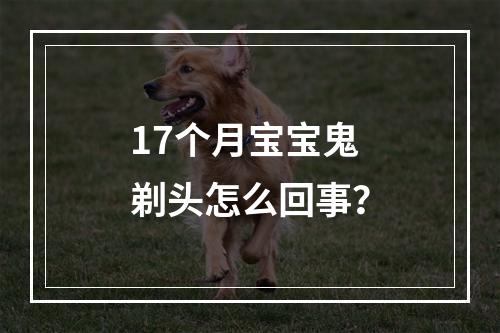 17个月宝宝鬼剃头怎么回事？