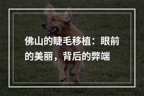 佛山的睫毛移植：眼前的美丽，背后的弊端