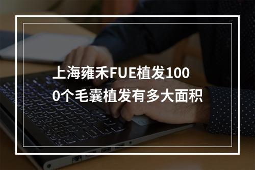 上海雍禾FUE植发1000个毛囊植发有多大面积