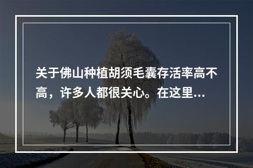 关于佛山种植胡须毛囊存活率高不高，许多人都很关心。在这里，我们来探讨一下这个问题。