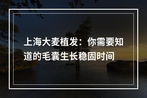 上海大麦植发：你需要知道的毛囊生长稳固时间