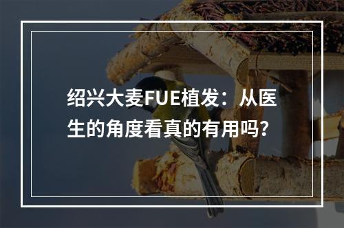 绍兴大麦FUE植发：从医生的角度看真的有用吗？