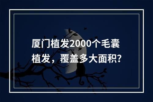 厦门植发2000个毛囊植发，覆盖多大面积？