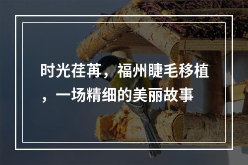 时光荏苒，福州睫毛移植，一场精细的美丽故事